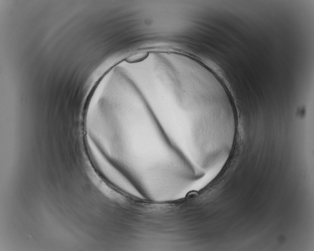 X0000115011482200911231216