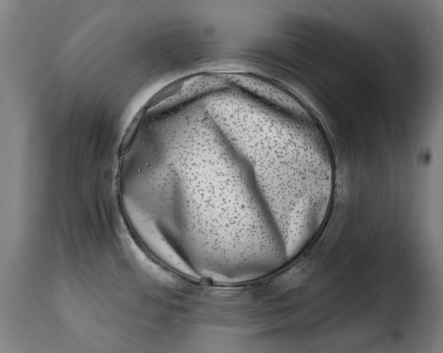 X0000115011484200911231216