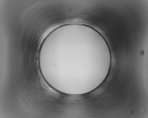 X0000115011486200911231216