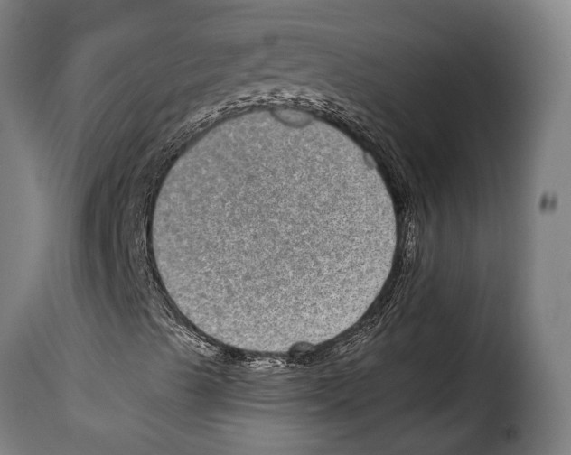 X0000115011489200911231215