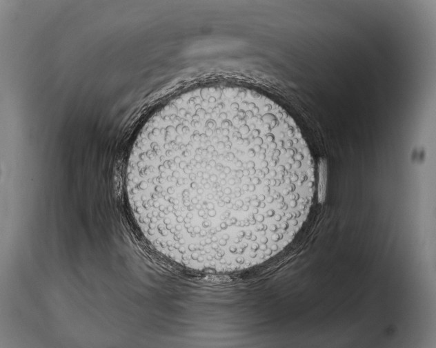 X0000115011491200911231215