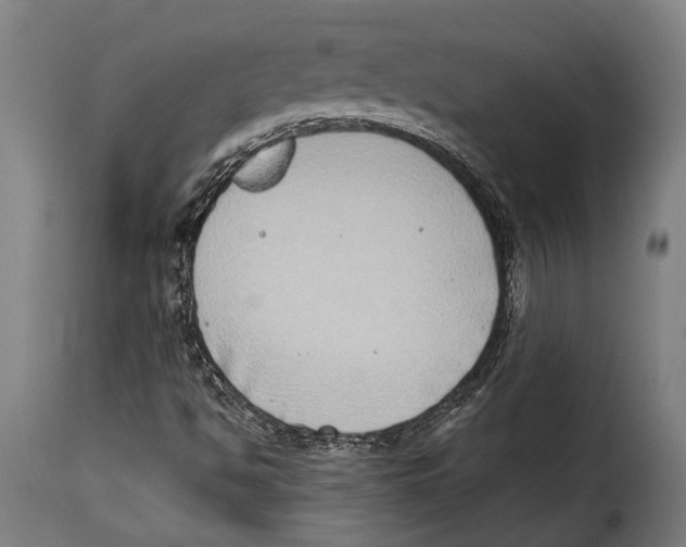 X0000115011494200911231215