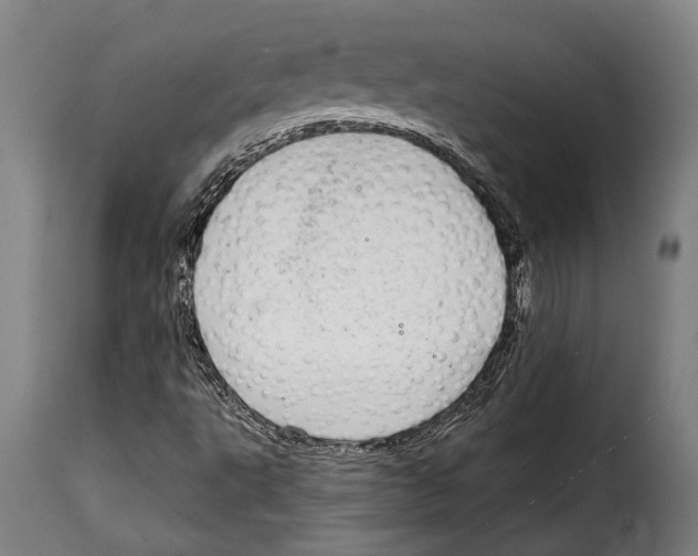 X0000115011495200911231215