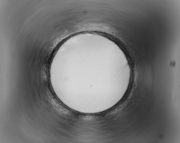 X0000115011497200911231215