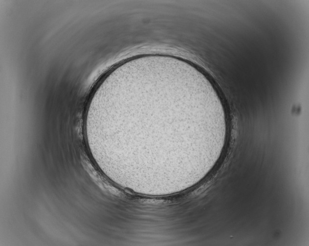 X0000115011499200911231215