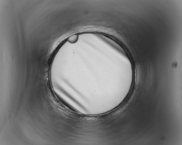 X0000115011501200911231215