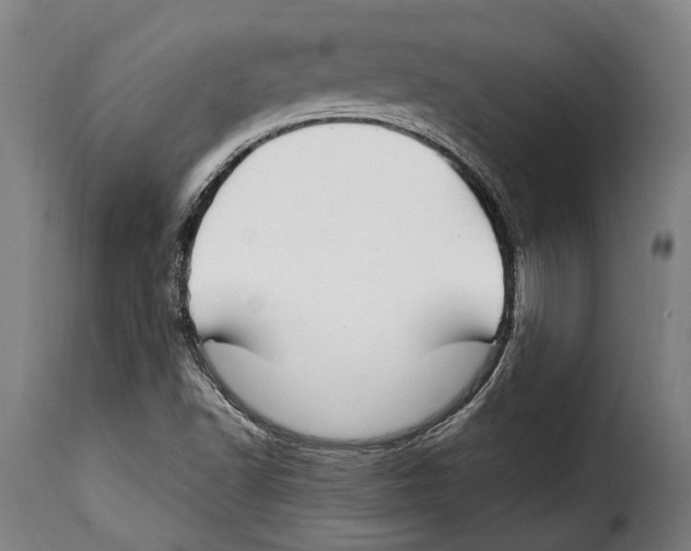 X0000115011502200911231215