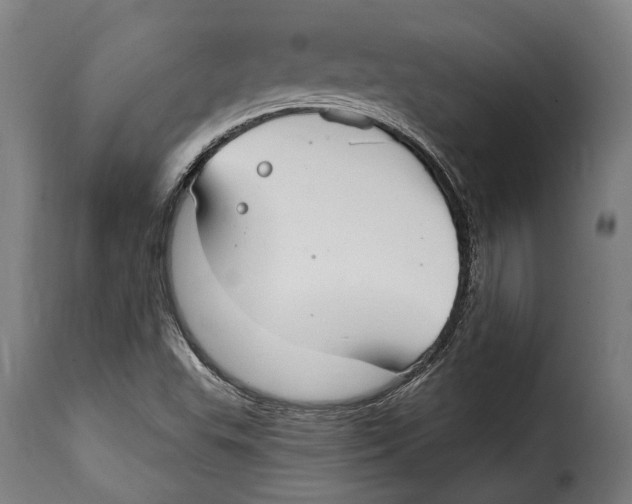 X0000115011503200911231215