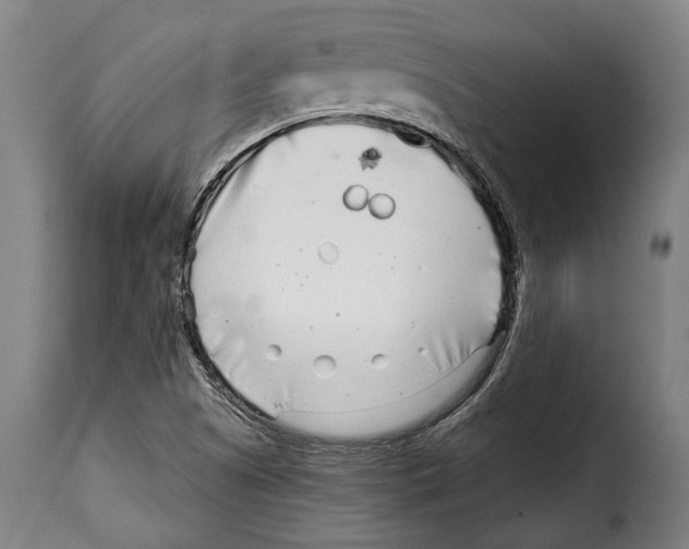 X0000115011505200911231215