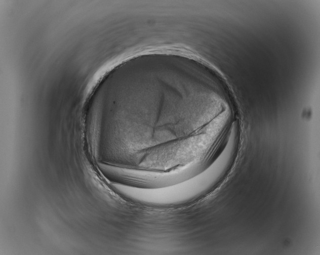 X0000115011506200911231215