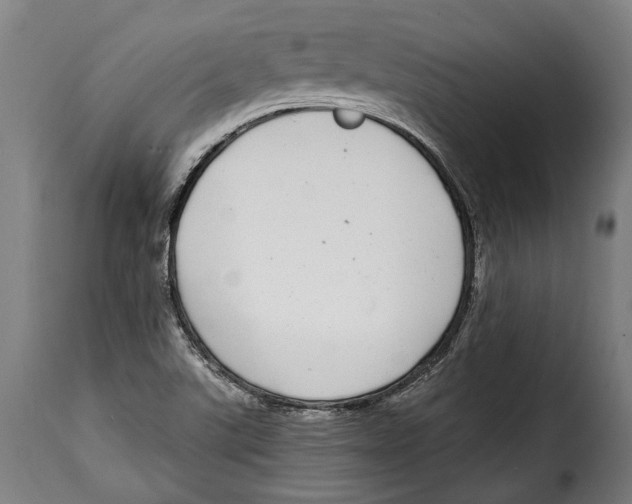 X0000115011507200911231215