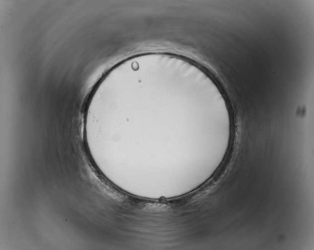 X0000115011509200911231215
