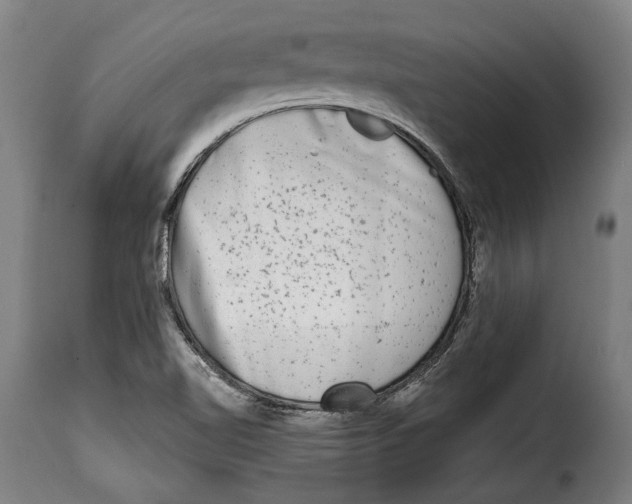 X0000115011510200911231215