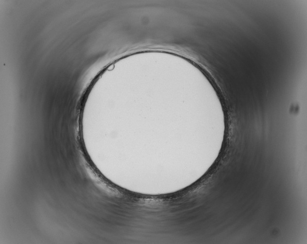 X0000115011511200911231215