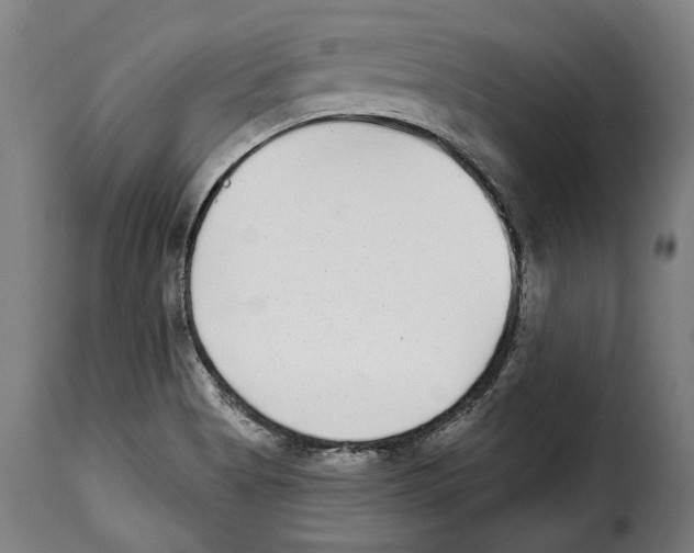 X0000115011513200911231215