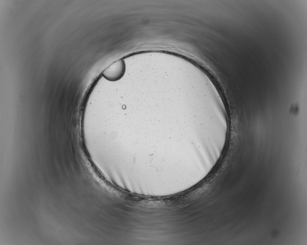 X0000115011517200911231215