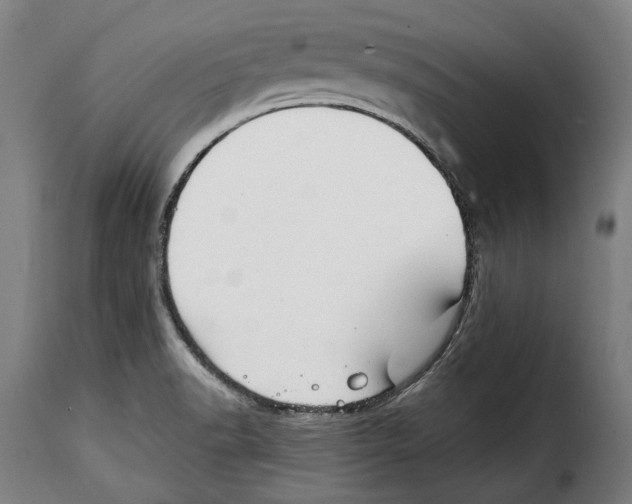 X0000115011518200911231215