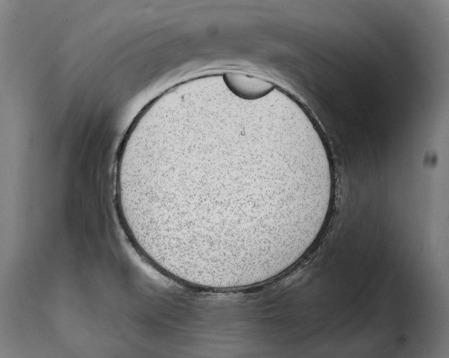 X0000115011519200911231215