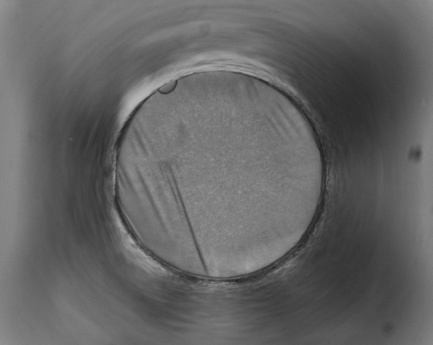 X0000115011522200911231216