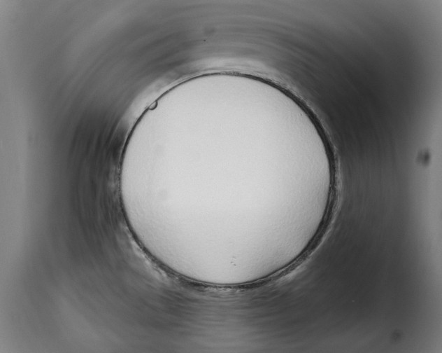X0000115011529200911231216