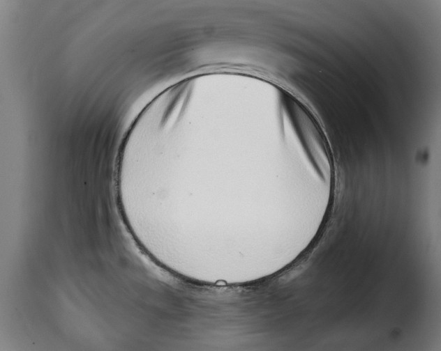 X0000115011533200911231216
