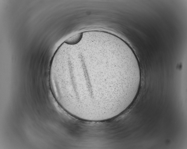 X0000115011534200911231216