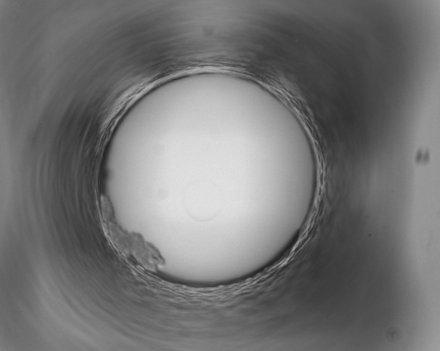 X0000115010001200912071215