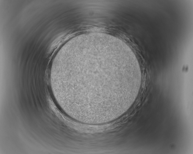 X0000115010002200912071215