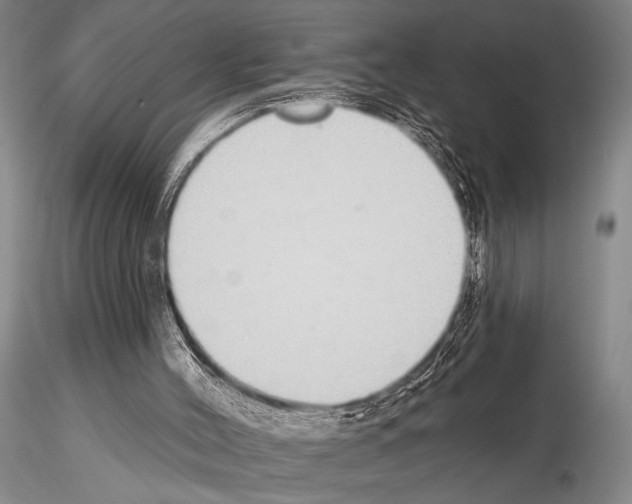 X0000115010004200912071215