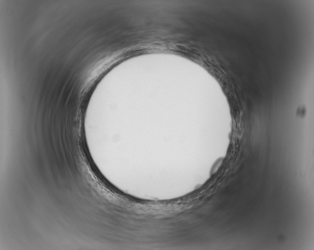 X0000115010005200912071215