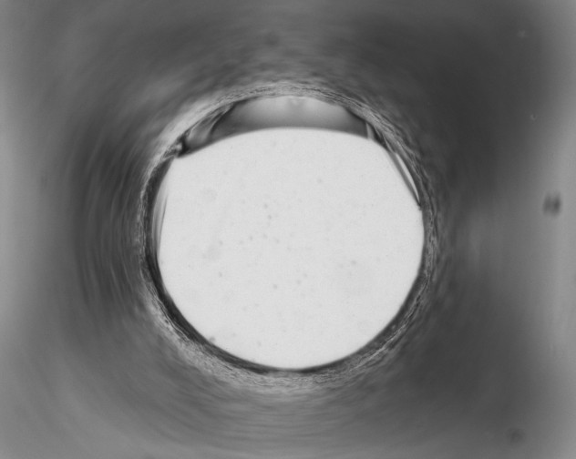 X0000115010008200912071215