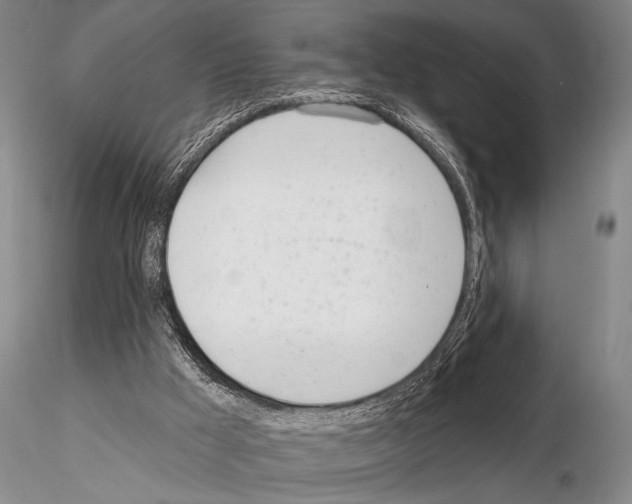 X0000115010009200912071215