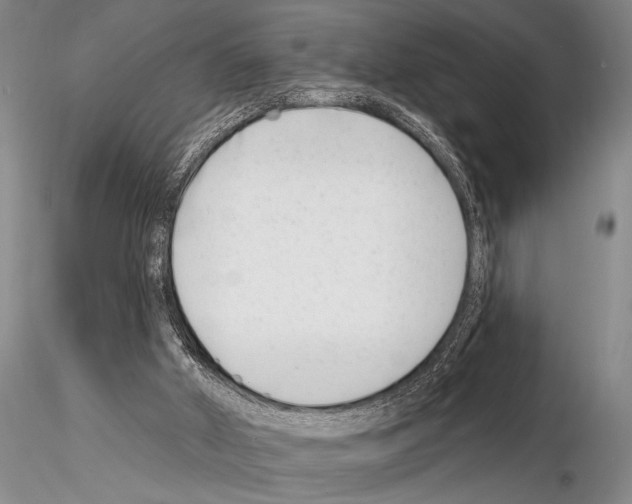 X0000115010010200912071215