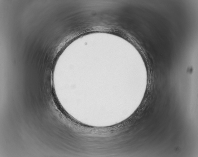 X0000115010011200912071215