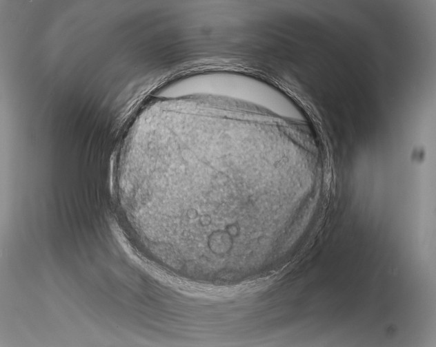 X0000115010014200912071215