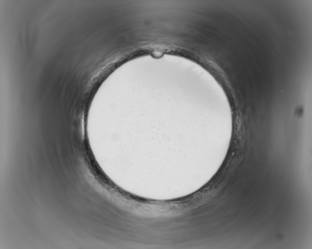 X0000115010020200912071214