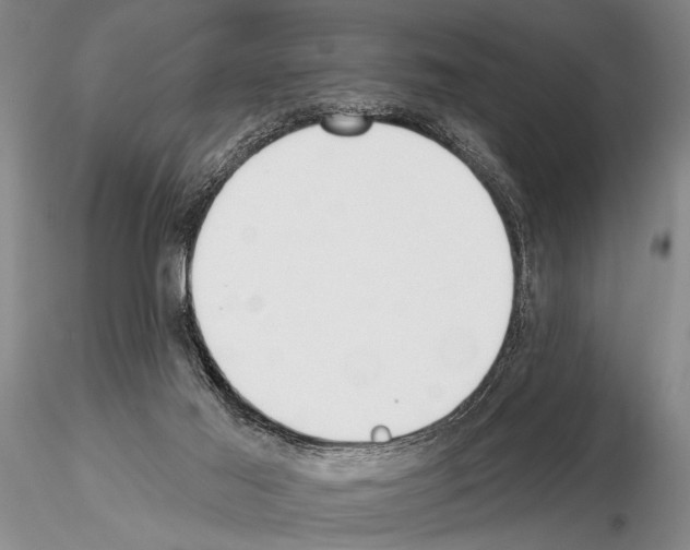 X0000115010021200912071214