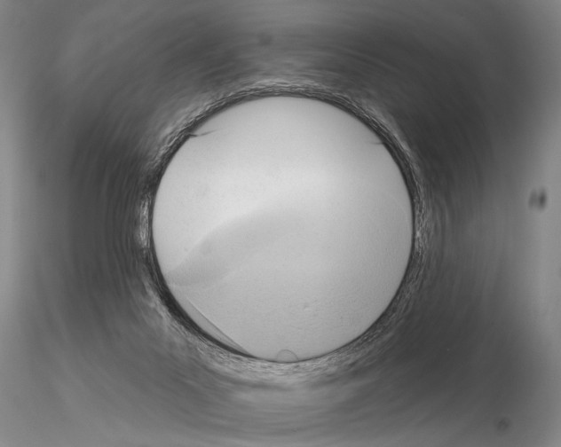 X0000115010023200912071214