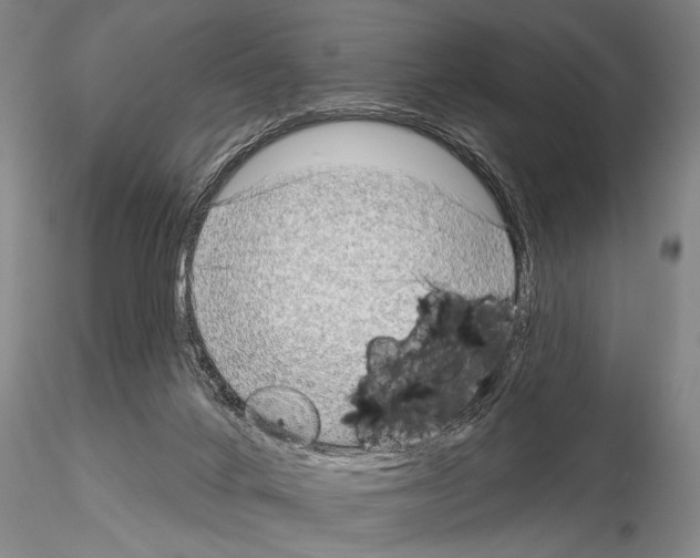 X0000115010024200912071214