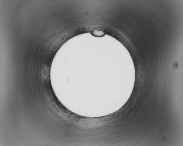 X0000115010025200912071214