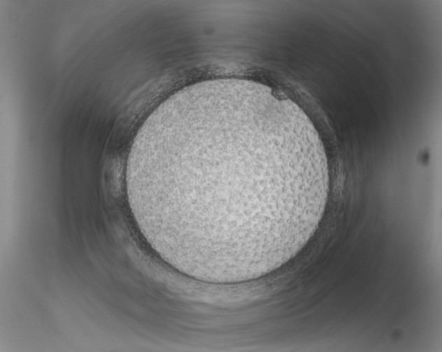 X0000115010026200912071214