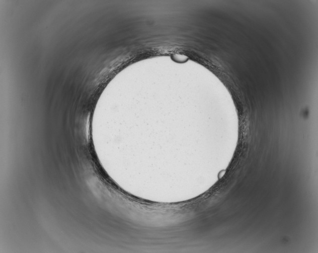 X0000115010028200912071214