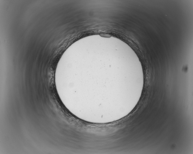 X0000115010029200912071214