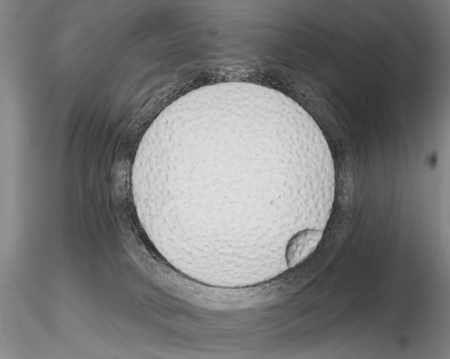 X0000115010034200912071214