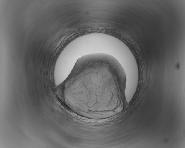 X0000115010035200912071214