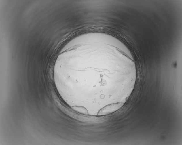 X0000115010036200912071214