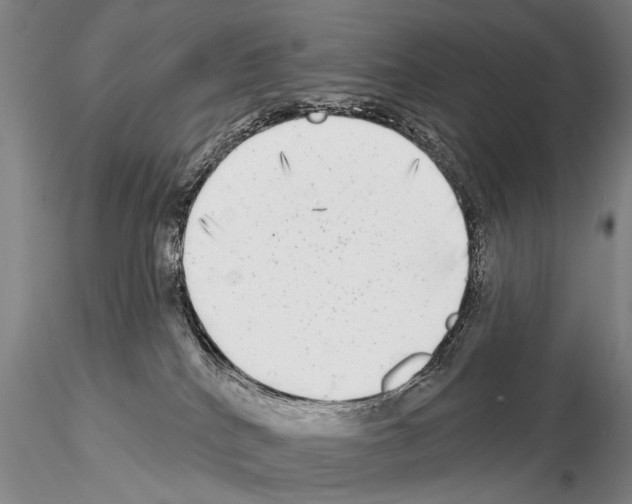 X0000115010040200912071214