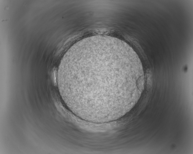 X0000115010042200912071214