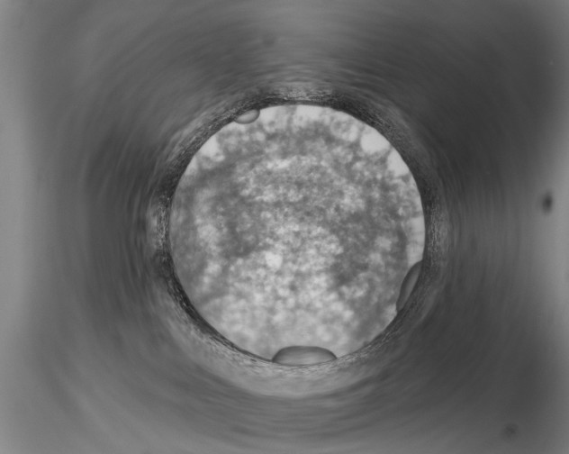 X0000115010043200912071214