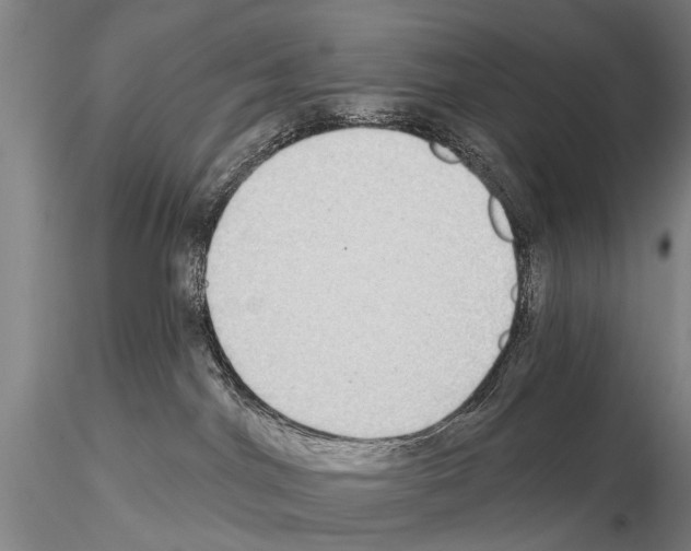 X0000115010044200912071214